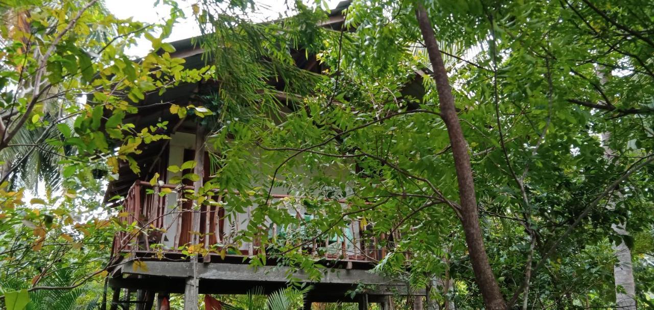 Sigiri Panaromic Tree House Villa Sigiriya Exteriör bild