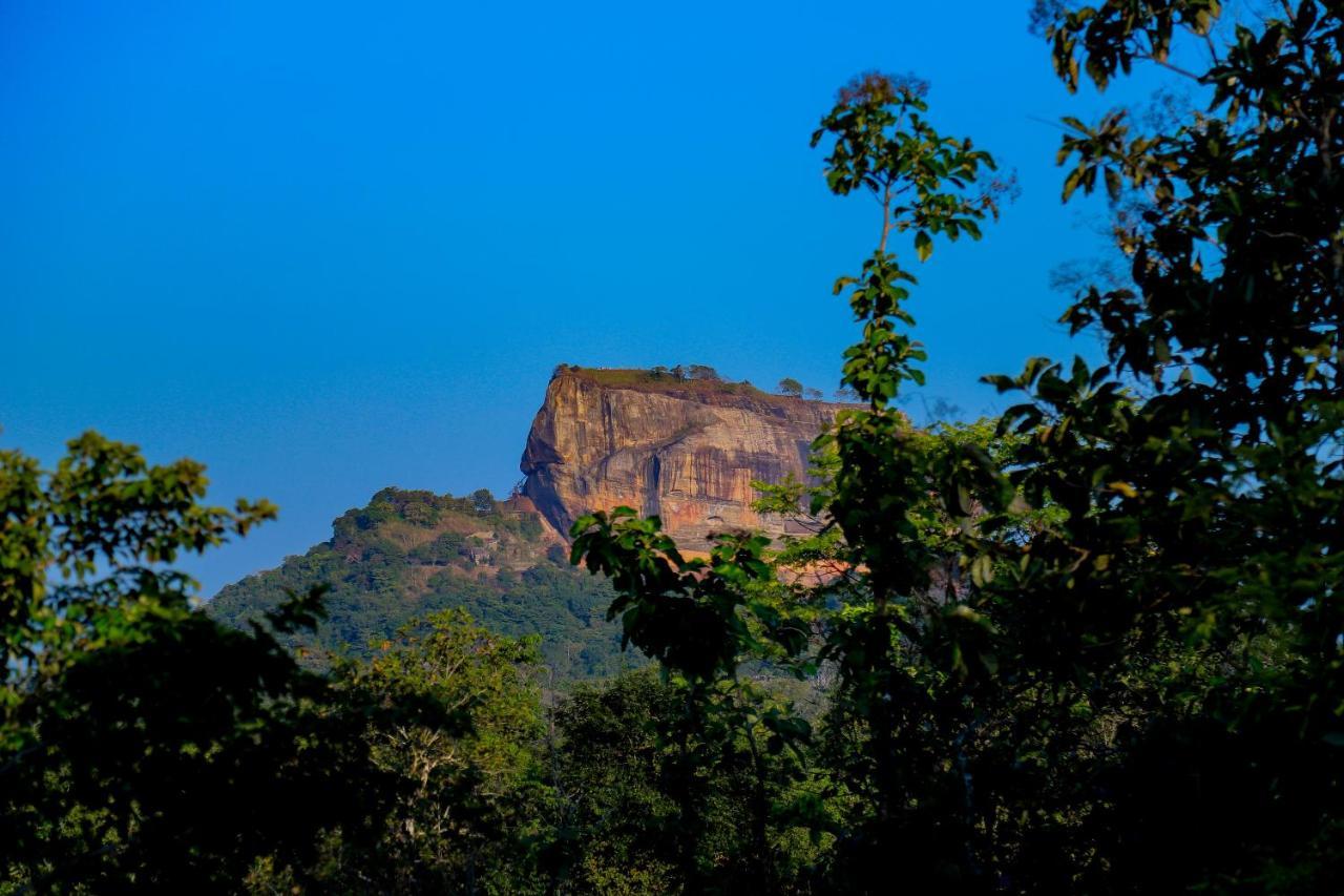 Sigiri Panaromic Tree House Villa Sigiriya Exteriör bild